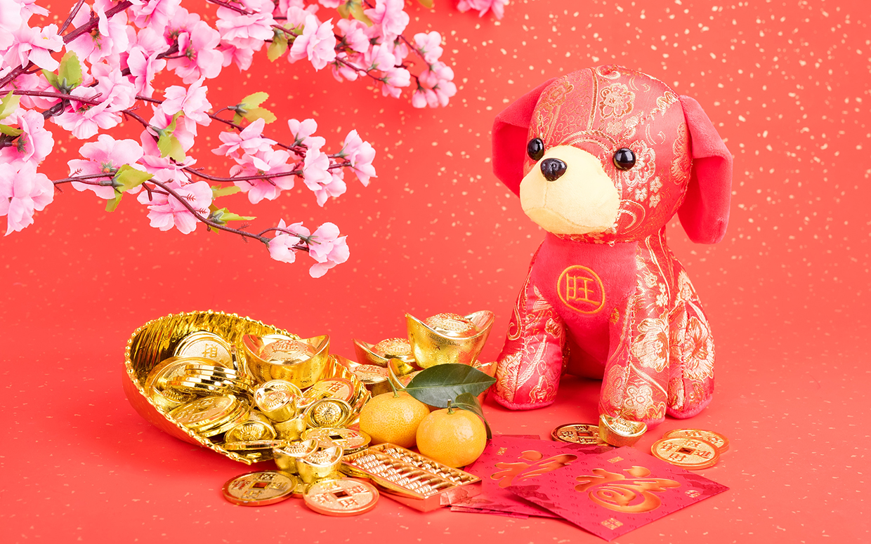  year of the dog 2018 2030 2042